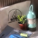 멍쓰홀릭 이미지