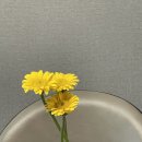 FT파워힐링댄스 | 2025년 11월 일상(ft.26년을 기다리며)