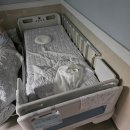 양진의료재단 | 요로감염 아기 증상 원인 입원부터 퇴원까지(경험담) Part.1