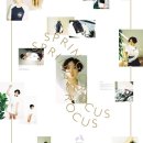 스프링크로커스
