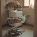 디자인밀로 | 이동식 빨래바구니, 분리수거함 틈새 세탁실에 쌓아 2년 넘게 새것처럼 쓰는 프로메이드 밀로 솔직 후기