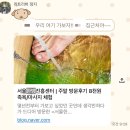 샬롬홍삼건강센터 | 서울한방진흥센터에서 족욕하고 온 후기 : 한약재...서울약령시장 건너 홍삼소금 족욕탕, 잣 동동...