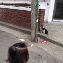 선*효 이미지