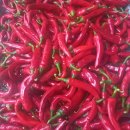 2025년꿀비네고춧가루 이미지