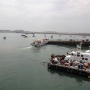 삼길포항 Daum카페