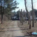 현천초등학교 이미지