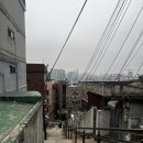 제일청과물마트