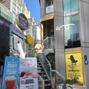 스파세븐 | 청담헤드스파, 직장인 탈모 두피 관리 담백한 후기 엘바이세븐