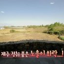 호텔 풀하우스 이미지