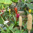 안산 식물원 이미지