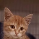 서울매스티지치과의원 이미지