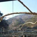 만선농장 이미지