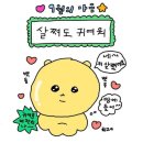 GS25 풍향금호점 | 군것질 멈추지 못해 (BBQ 닭강정/피코크/웰로웰로/BHC 더블팝/니쿠/꼬북칩)