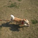 박순복동물병원 이미지