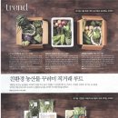 우먼센스 카카오 검색결과