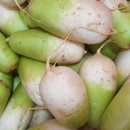 중앙삐아제어린이집 이미지