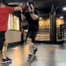 복서(BOXER) 삼성센터 네이버블로그