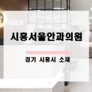 시흥서울안과의원 네이버블로그