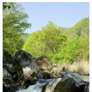 계곡이 있는 풍경 이미지