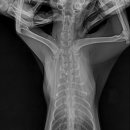 화서동물병원 이미지