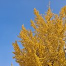 한국교원대학교부설고등학교 이미지