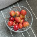 제주동광농수산