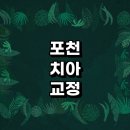포천시 치아교정 잘하는 전문치과 병원 추천 | 비용 후기 설측교정 돌출입 앞니 투명 무턱 부분 교정기...