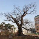 회화어린이공원 이미지