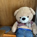 플루800전북대점 이미지