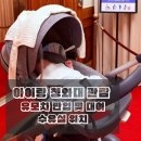 세류1동 주민센터 본관 회의실 | [서울] 아이와 함께 청와대 개방 예약! 유모차 반입 및 대여·수유실 위치·주차·굿즈샵 총정리