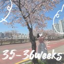 전북대학교(본관) | [임신일기]35주~36주차 출산가방 싸기, 세븐일레븐 스무디_전북대학교병원