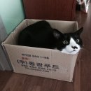 호두랑원두