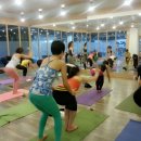 5th Study 2class Sensitive Flow Yoga 이미지