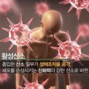 티그린 - 수원시 팔달구 아주로 7 | 티그린