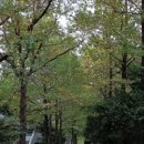 산책가는길 이미지