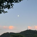 피자스쿨태화점 네이버블로그
