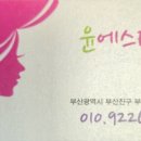 테라윤 이미지