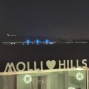 몰리힐스(MOLLI HILLS) 이미지