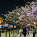 앤드퍼피 | 봄바람 부는 3월, 신혼부부 여행지