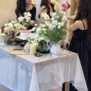 스테이 소롯 이미지