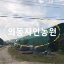 점박이 농장 이미지