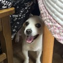 인영당구장 이미지