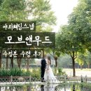 톤앤무드 | [야외웨딩스냅] 모브앤무드 수정본 수령 후기 | 모바일 청첩장·식전영상·포토테이블 한번에 해결!