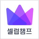 [셀럽챔프] 투표관련하여 안내드립니다. 이미지