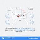 고성동물병원 - 고성군 간성북로7번길 18 | 고성동물병원