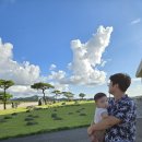 새한개량한우목장 | 🌳가족친화적인&lt;서산목장카페&gt; 주변 추천 명소🍽 추천메뉴ㆍ특징ㆍ방문후기