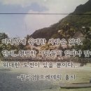 대전 충남지역 업체 피해자분들은 이번 정모에 꼭 나오세요 이미지