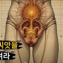 에너지마스터
