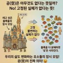 ■2026노벨 물리학상 수상자,《로저 펜로즈》경의 이론은, 불교사상,《공즉시색(空卽是色)》의 현대 과학적 재해석으로 본다. 이미지
