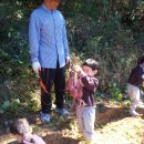 지니어스숲어린이집 이미지